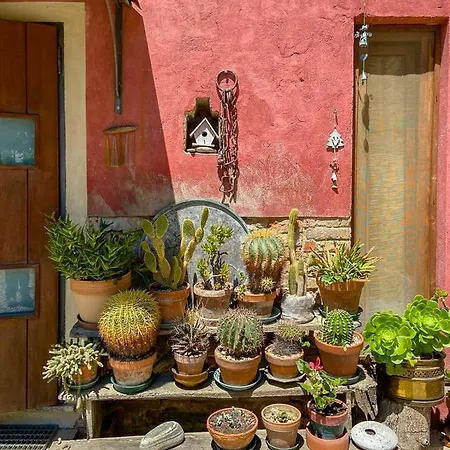 Bed & Breakfast Sant'anna 21 Monforte D'Alba