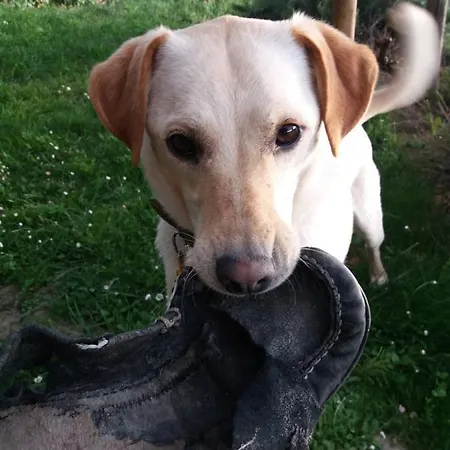 Sant'anna 21 Монфорте-д'Альба