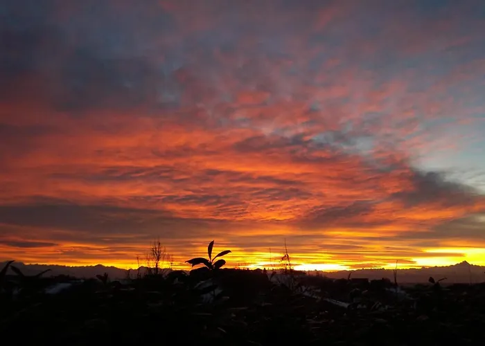 Sant'anna 21 Monforte dʼAlba