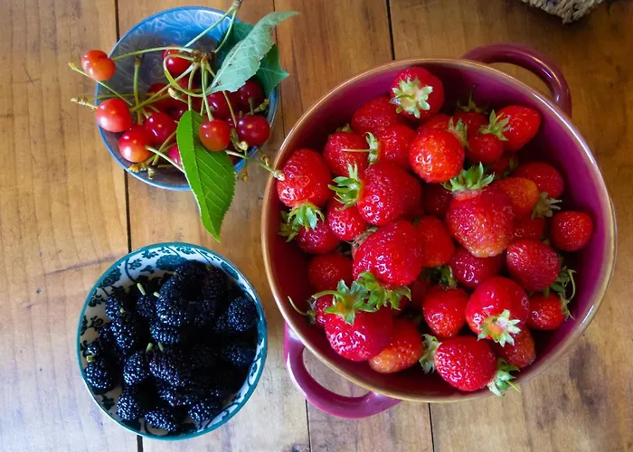 Frühstückspension Sant'anna 21